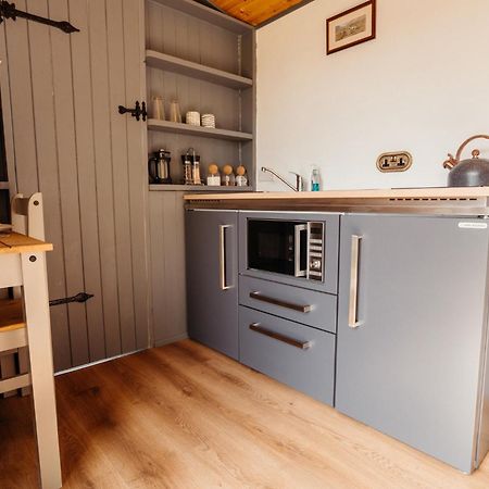 Cefn Crib Cabins Machynlleth Zewnętrze zdjęcie